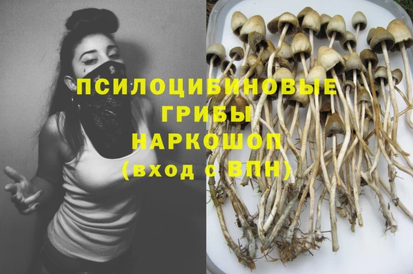 ПСИЛОЦИБИНОВЫЕ ГРИБЫ Белокуриха