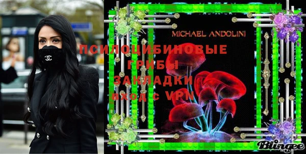 ПСИЛОЦИБИНОВЫЕ ГРИБЫ Белокуриха
