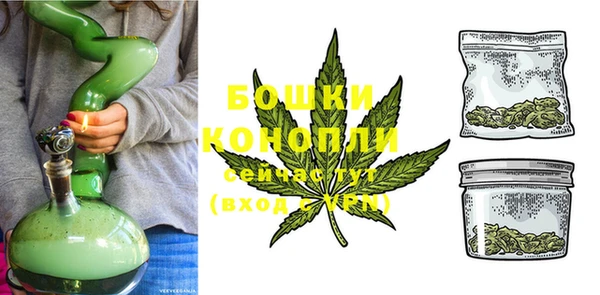ПСИЛОЦИБИНОВЫЕ ГРИБЫ Белокуриха