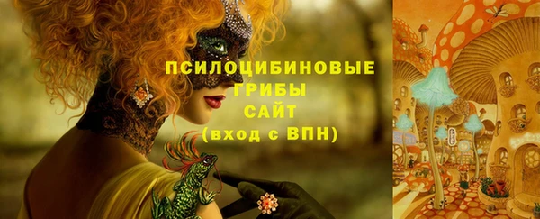 ПСИЛОЦИБИНОВЫЕ ГРИБЫ Белокуриха