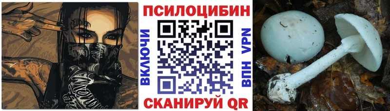 Галлюциногенные грибы мицелий  Волхов 