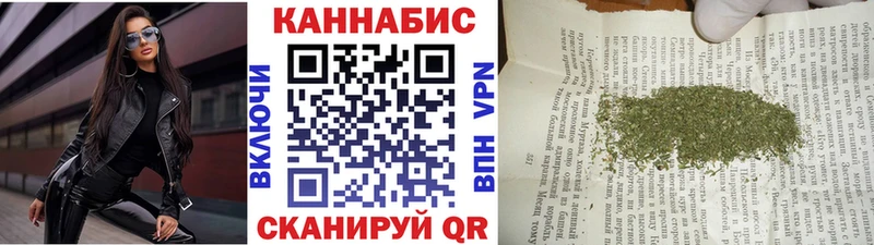 где можно купить Волхов Канабис гибрид